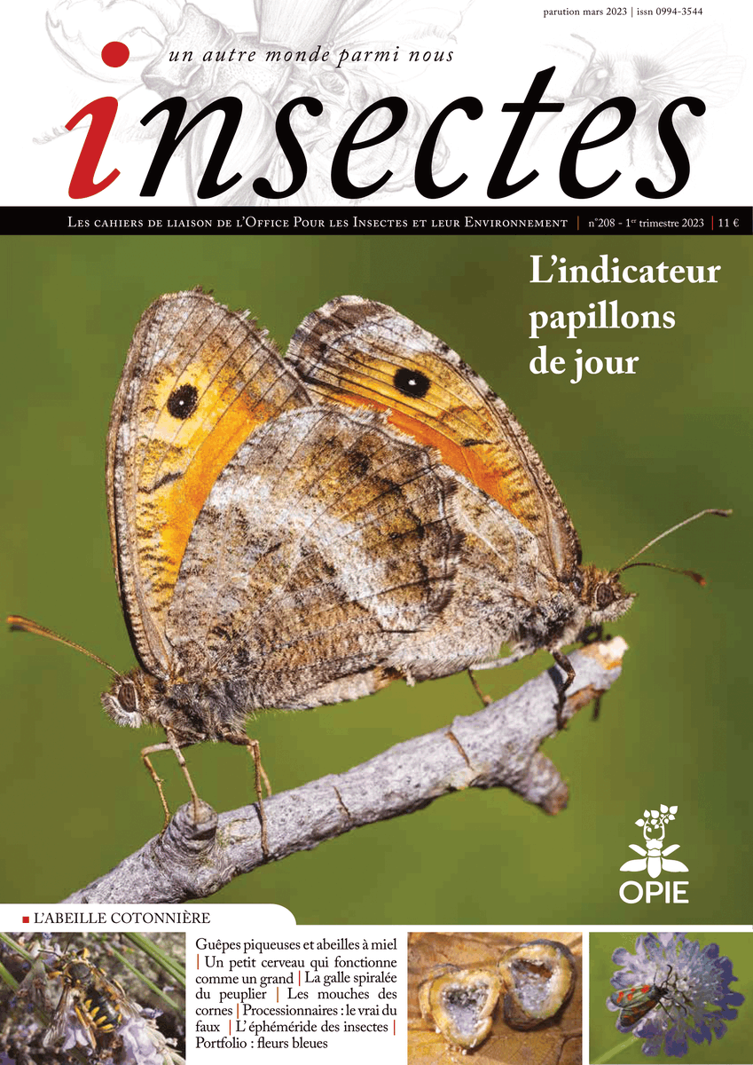 Opie_insectes's tweet photo. Le nouveau numéro d'#Insectes est sorti ! ✨
Au programme : l'indicateur #papillons de jour, l'#Abeille cotonnière, le cerveau des insectes, le vrai du faux à propos des #processionnaires.
🦋 Toutes les informations sont disponibles ici : https://t.co/5tcUBpCBpT https://t.co/4vSj1o9Cih