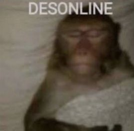 ta todo mundo sendo taxado na shein mds nunca mais vou comprar lá