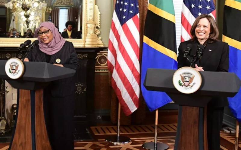 BigHomo73's tweet photo. Tanzania is one of the LGBTI+ unfriendliest  countries with harsh laws and gross violation of LGBTQI+ rights but @VP did not say something about it @usembassytz  @POTUS @hrw @Reuters @bbcswahili #EqualityForAll #LGBTQIA #LGBTinTanzania https://t.co/bLRB7mNq7X