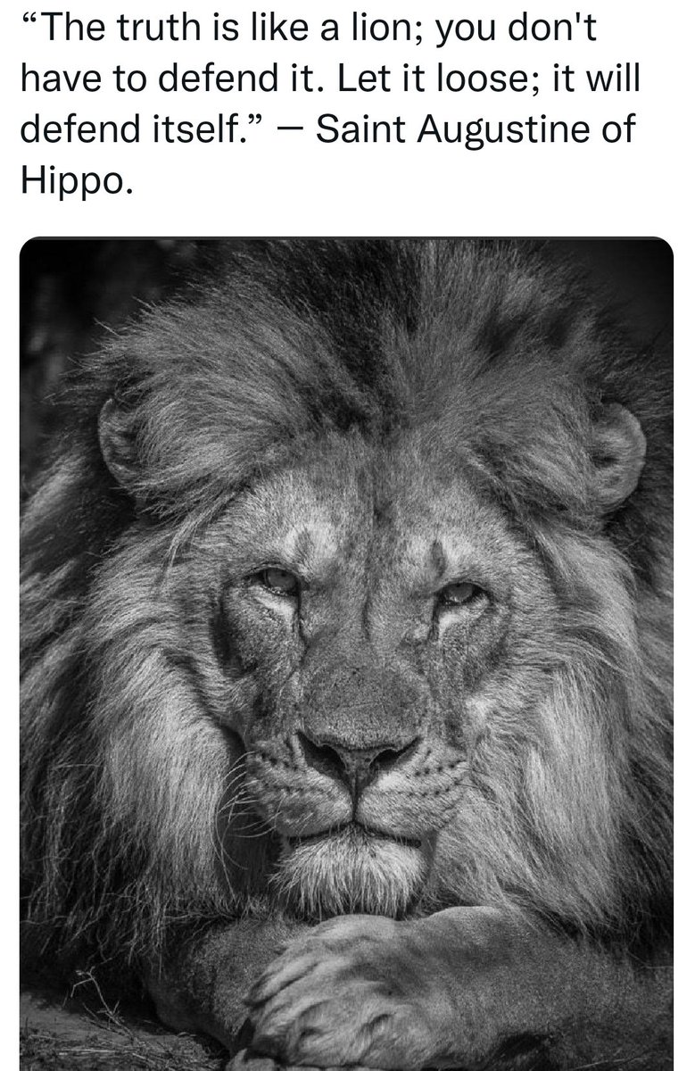 <a href="/KimDotcom/">Kim Dotcom</a> <a href="/ZelenskyyUa/">Volodymyr Zelenskyy / Володимир Зеленський</a> This