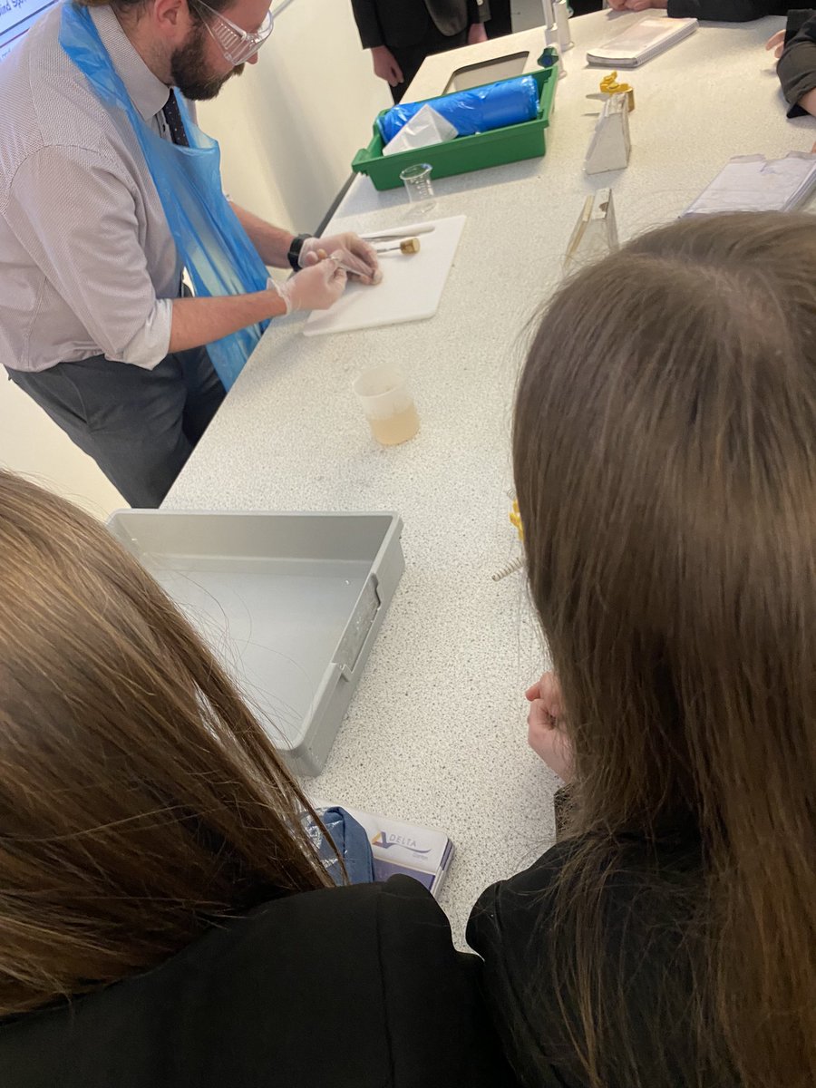 Our Y9s really enjoyed their triple science taster session <a href="/DeltaDarton/">Darton Academy</a> #STEM