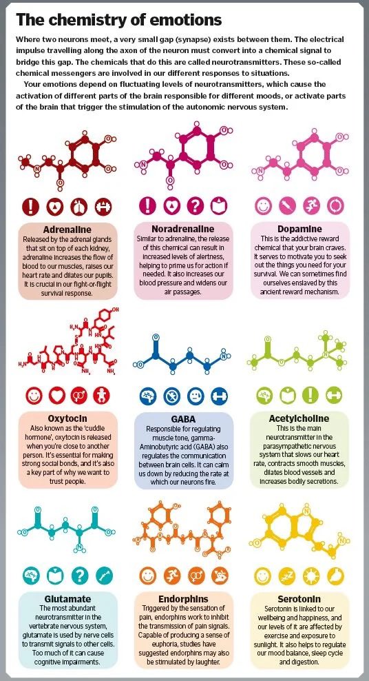 OGdukeneurosurg's tweet photo. Neurotransmitter review for you https://t.co/vPC5LuHxGk
