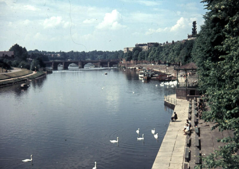 cwacmuseums's tweet image. For #CheshireDay The History Hub are sharing images of one of their favourite spots in #Chester - The Groves. The river bank between Souters Lane and St. John’s Church had been used for walking from circa 1717. In the 1720’s an avenue of trees was planted. @MktgCheshire.