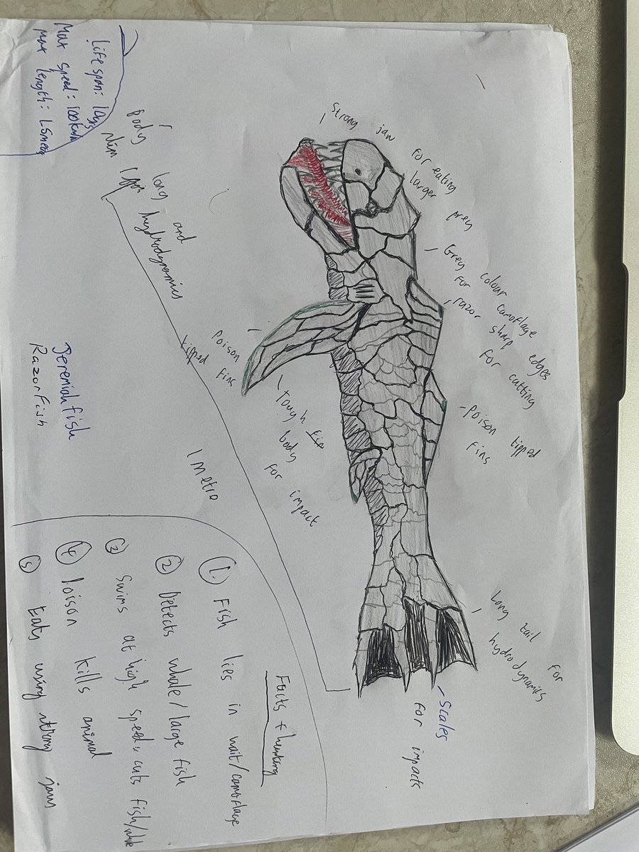 2nd years studying how organisms adapt to their habitat 🌸 Students had to pick a habitat and design an organism best adapted to live there 🏡 #jcscience #bw8 #creativity