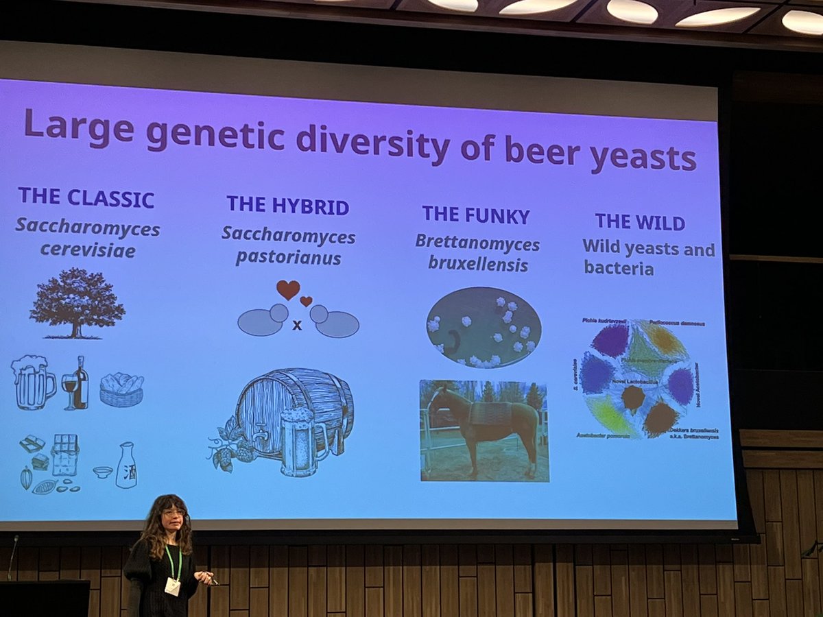 Time to taste a large diversity of beer yeasts 🥳😁 <a href="/Biodiversity_XL/">BiodiversityXL</a>