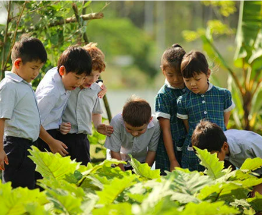 ✨International Education &amp; Schools Fair✨

<a href="/MarlboroughMCM/">Marlborough College Malaysia</a> is a co-educational British #internationalschool in Malaysia for boarding &amp; day pupils aged 3 up to Sixth Form age 18. Set within a 90-acre site with golf &amp; watersports.

Take virtual tour thinkglobalpeople.com/marlborough-co…
 #IESF