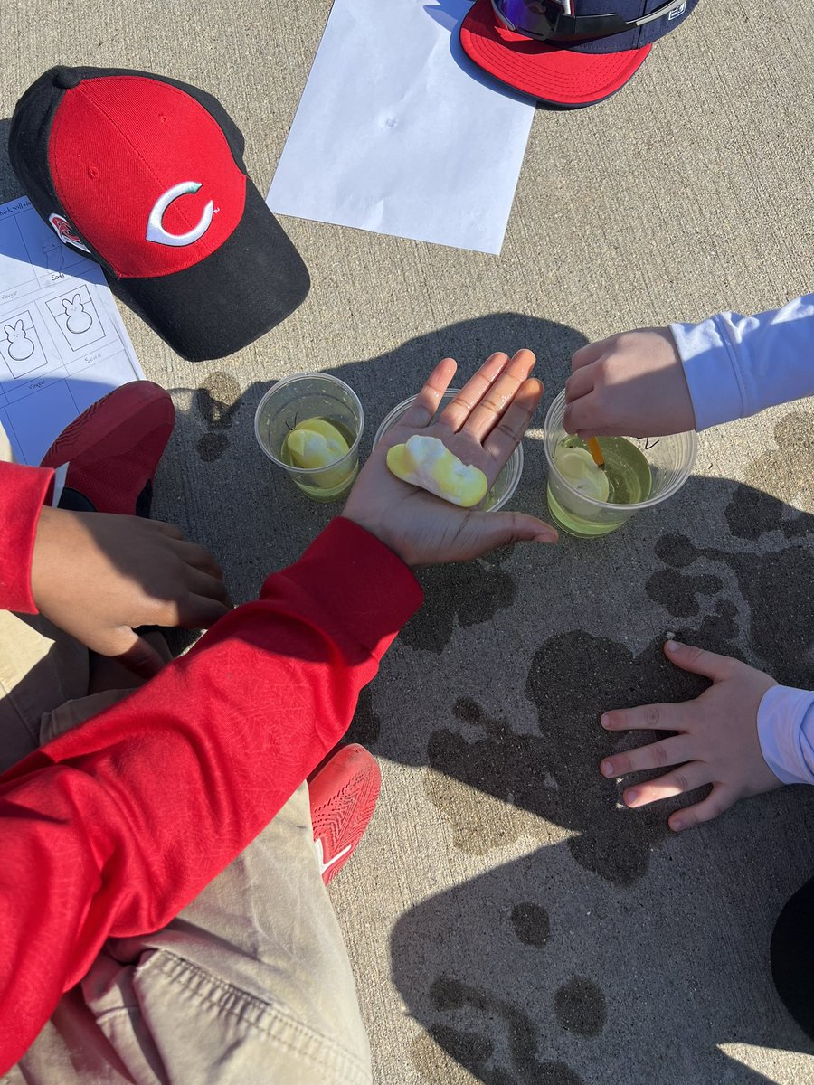 Megan Patterson tweet media