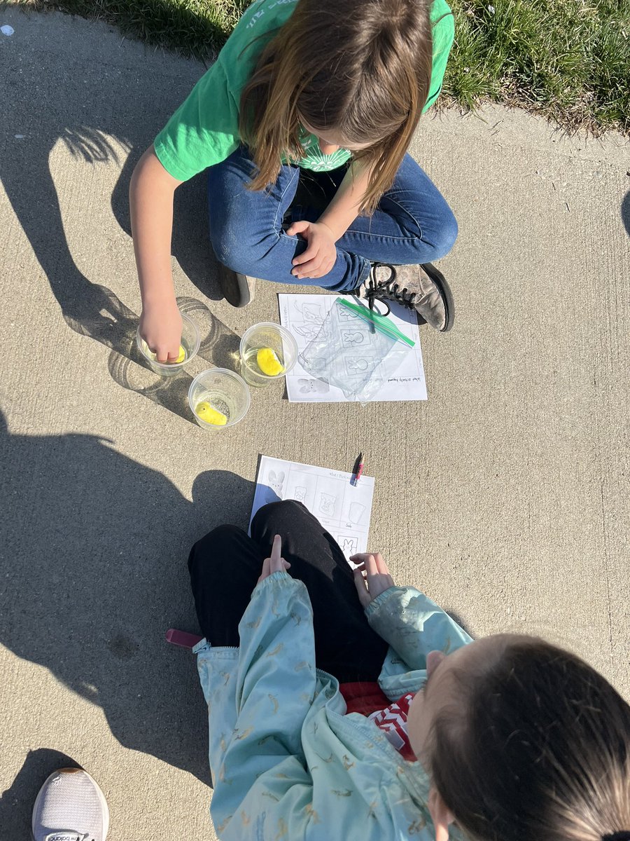 Megan Patterson tweet media