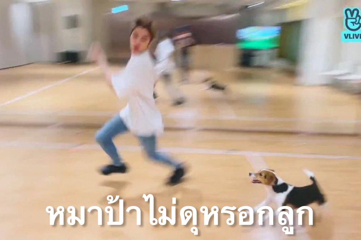 กาเบม tweet media