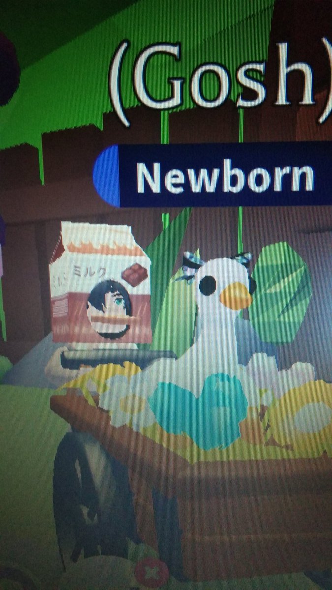 Adopt Me! on Twitter "RT ItsHavender It fits perfectly! The new goose & flower cart stroller