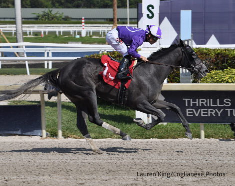 Daily Racing Form on Twitter: