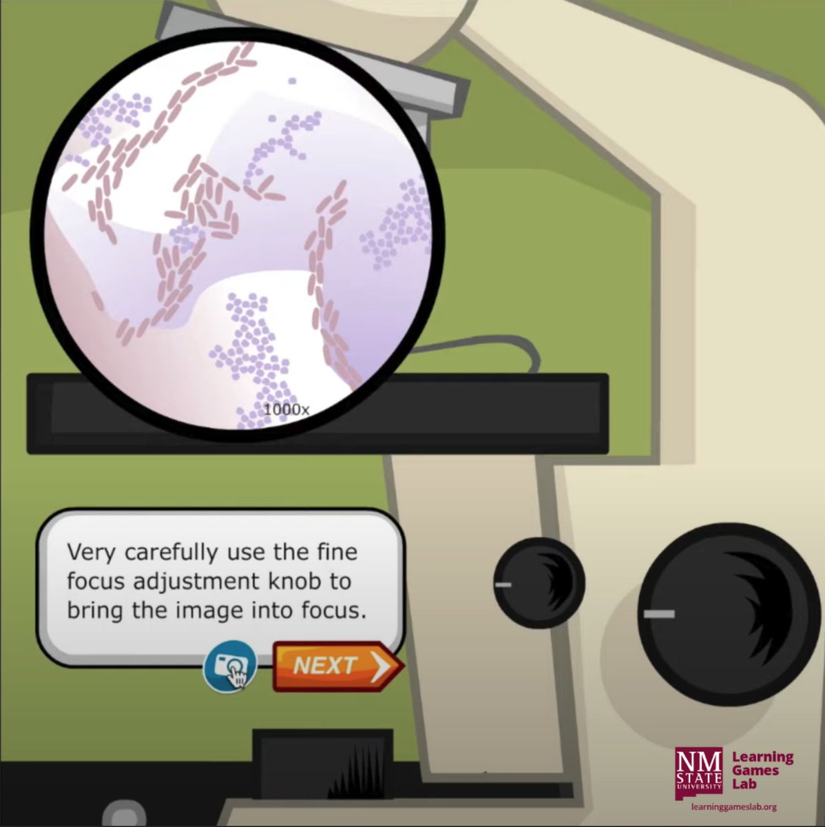 NMSUProductions's tweet photo. If you’re not sure on how to properly use a microscope, check our virtual lab. It includes examples such as looking at a  gram-stained yogurt sample to observe the types of bacteria that are contaminating it. 
#nmsu #science  #microscope #learninggameslab https://t.co/3uX5cuvb0K https://t.co/ZYSWPilpQ4