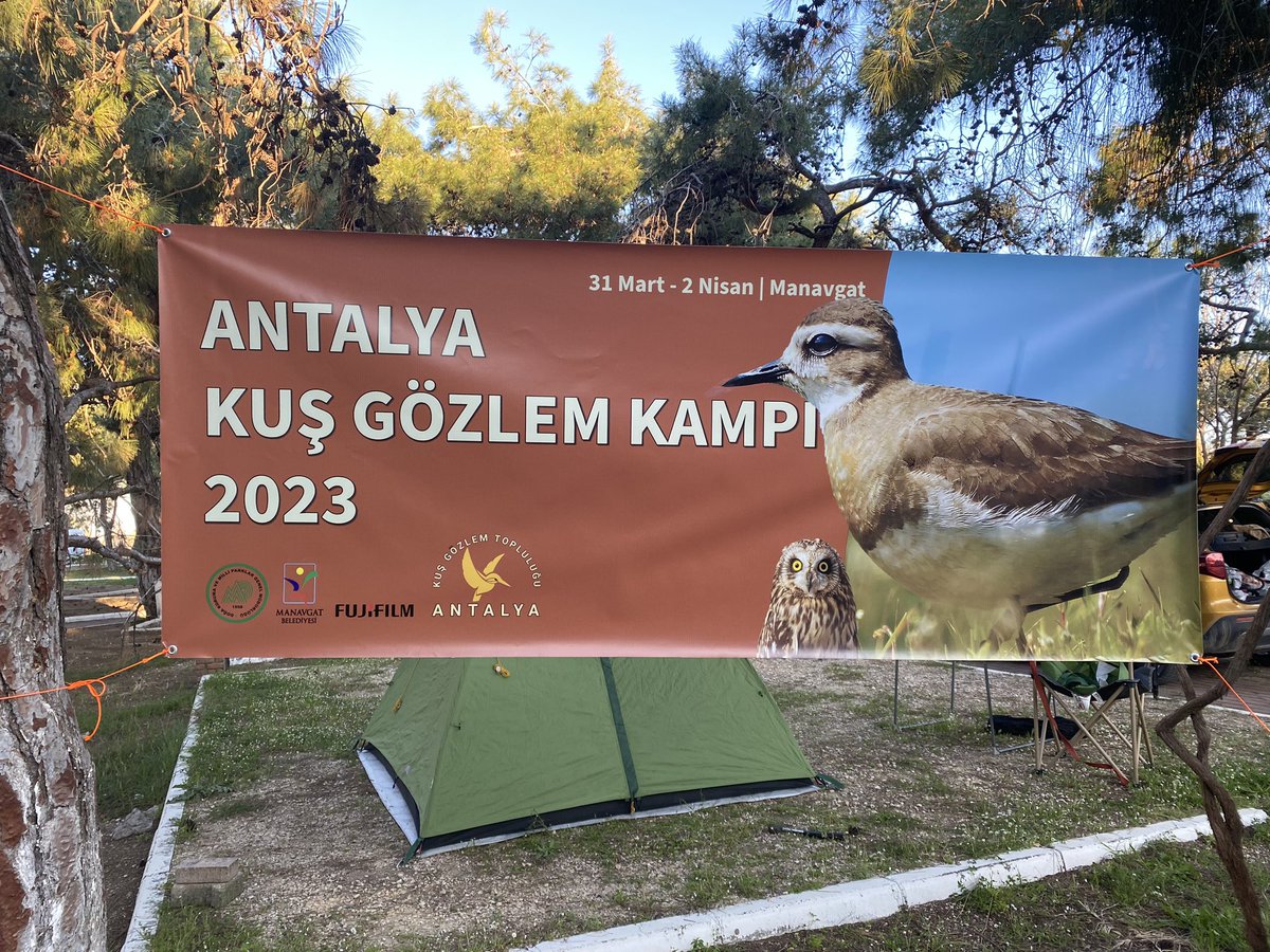 2023 Antalya Kuş Gözlem Kampı  başlıyor. 🏕️ 👉🏻
#AntalyaKuşKampı2023