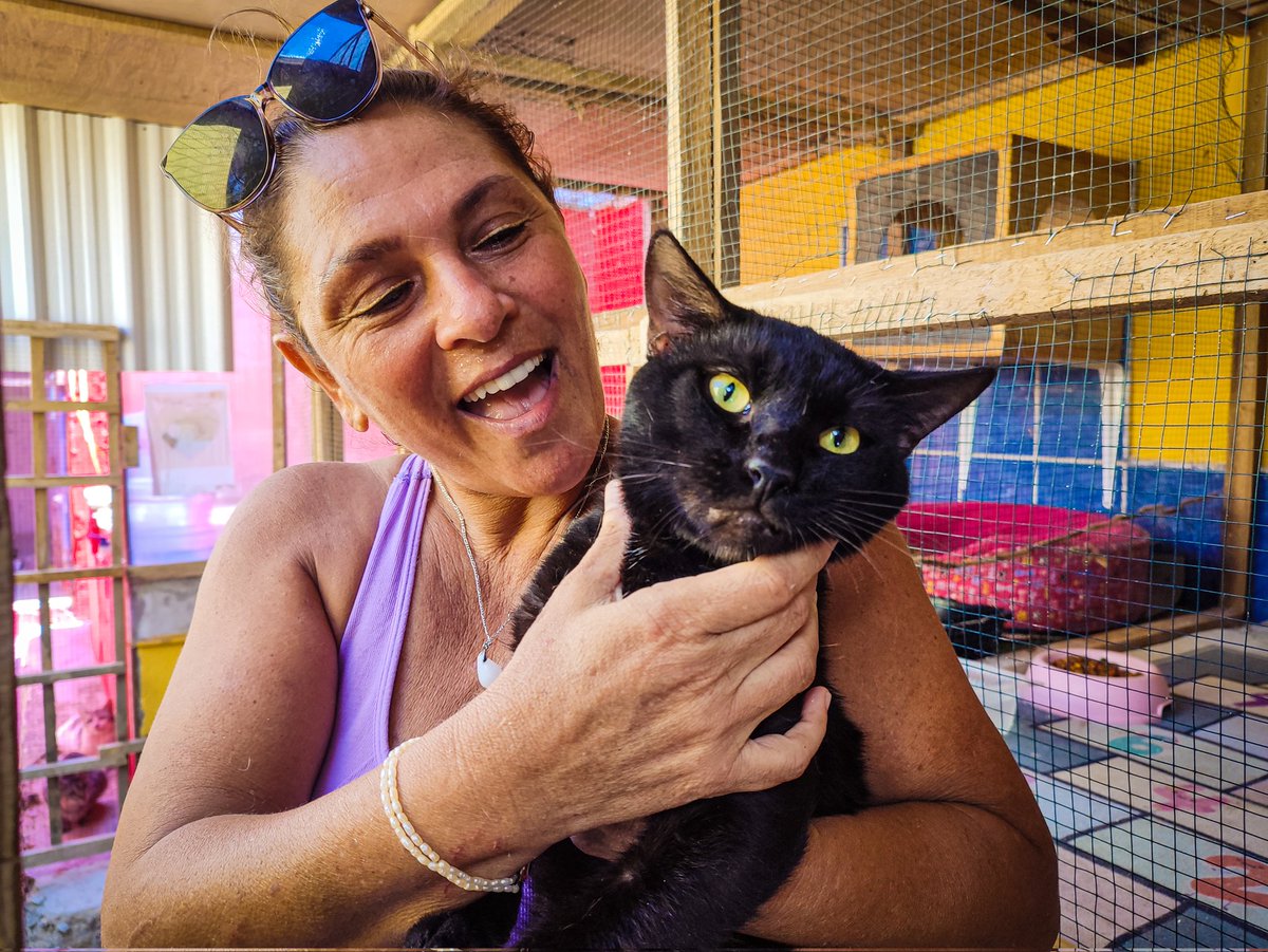 JanoBaca1's tweet photo. RETWEET URGENTE POR FAVOR 

EL ALBERGUE DE GATITOS DE MI MAMÁ NECESITA AYUDA.
MI MAMÁ TIENE UN ALBERGUE EN PIMENTEL Y ESTÁ SUFRIENDO MUCHO POR LAS LLUVIAS. CUALQUIER AYUDA MÁNDENME DM PARA PONERLES EN CONTACTO. 
POR FAVOR, MI MAMI NECESITA AYUDA. https://t.co/Pop4e4YFZC