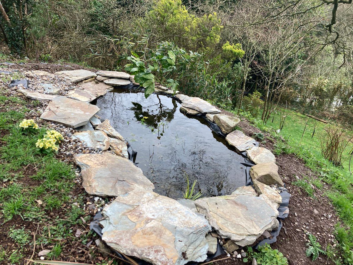 tevicornwall's tweet photo. Today Tevi are out with St. Austell Brewery visiting the tenanted pubs in the East of the county that have been a part of the Pint &amp; Hedgehog project. It’s great to see the effort that has gone into improving beer gardens for wildlife. We will be announcing the winner shortly! https://t.co/XOn6wApgT8