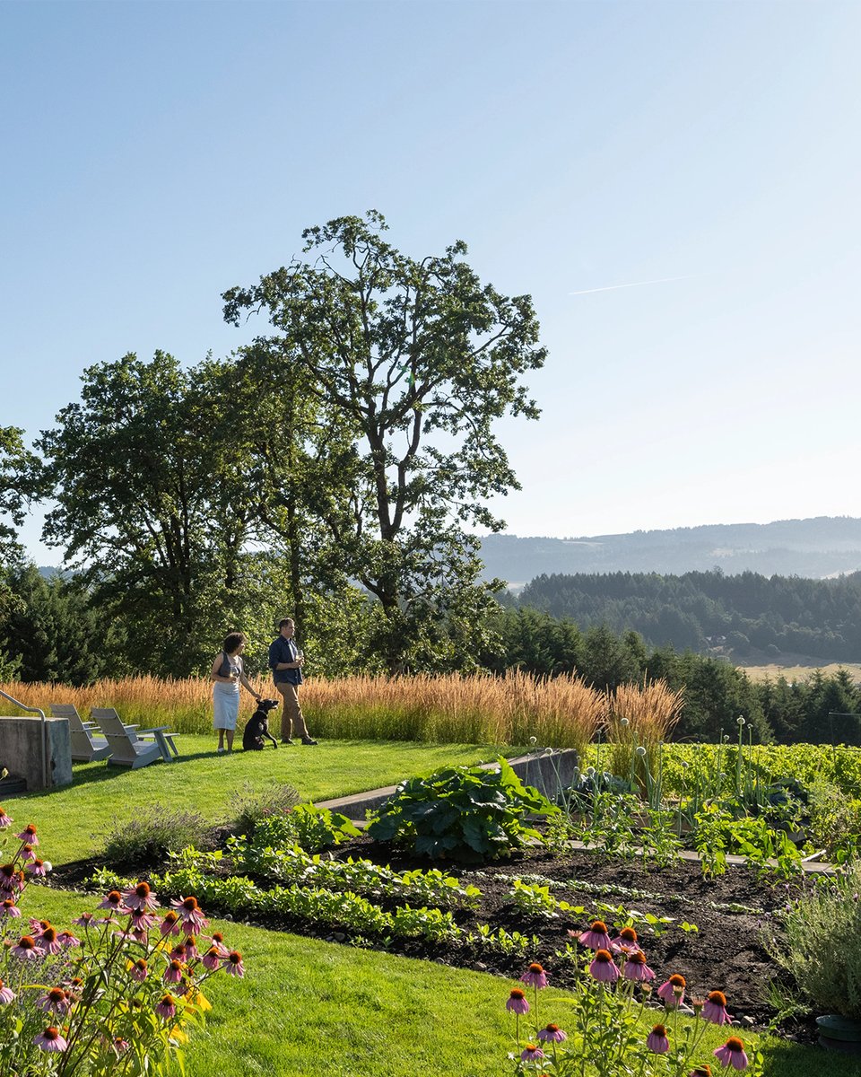 An unforgettable experience and a glass of Penner-Ash go hand in hand. 🤝

Reserve your tasting now: exploretock.com/pennerash