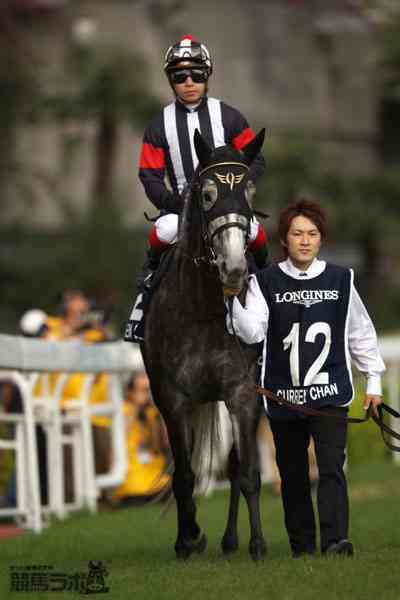 【本日のHAPPY BIRTHDAY】カレンチャン2007年3月31日生まれ#競馬 #カレンチャン  