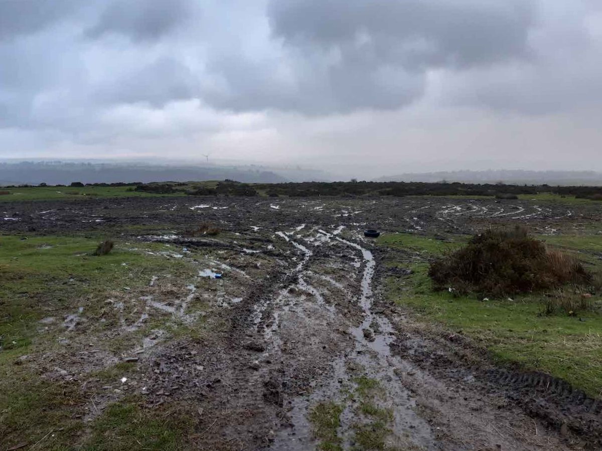 Comin Cydweithredol - Common Connection tweet media