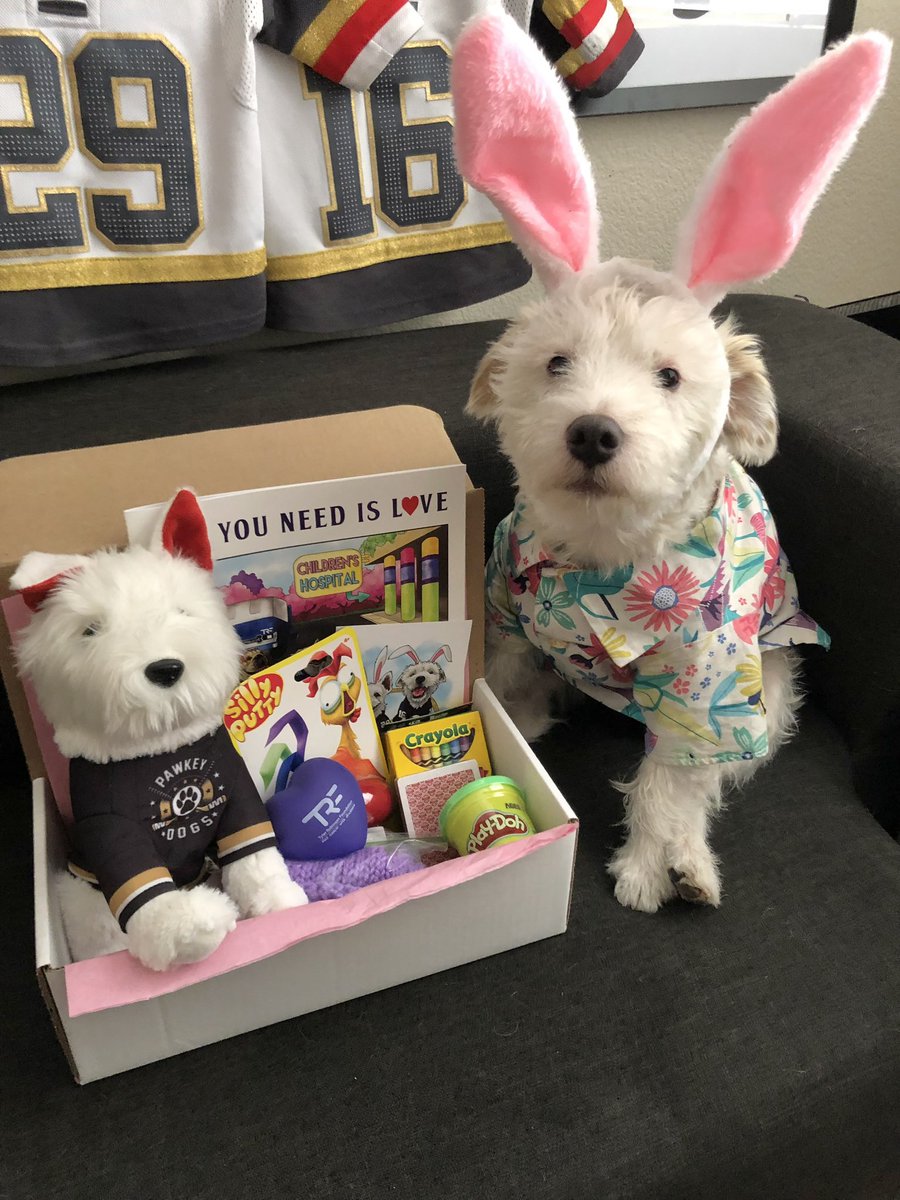DekeHenriFurry's tweet photo. Deke here!
Bark and I, along Winston &amp; Oliver, will be delivering Easter Pawliday boxes to children in Las Vegas area hospitals next week! 
If you’d like to help us by sponsoring a box or two, please follow the link: https://t.co/Y5JG7h48Zj
Thank you!
~ Deke🐾 
#PawYouNeedIsLove https://t.co/4dL5bdqGIg