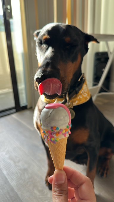 I&rsquo;m going to post this pic here because this is my new wallpaper 💕 https://t.co/PvvPReJ5l2<a href="/tag/mvsales"class="tags"><span>#mvsales</span></a>