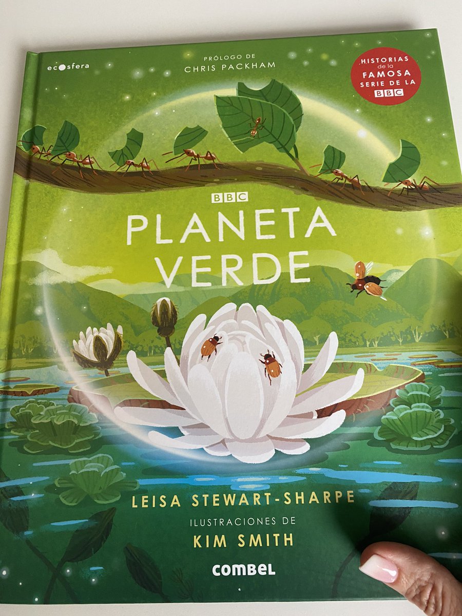 mamapsicologain's tweet photo. Esta tarde me acompaña este álbum ilustrado de la colección #ecosfera de @CombelEditorial hace días que espera sobre mi mesa de reseñas y hoy me ha llamado con una voz irresistible. Ya en la primera página me he sorprendido y he aprendido cosas fascinantes sobre una planta 🤩 https://t.co/qHwke2CLai