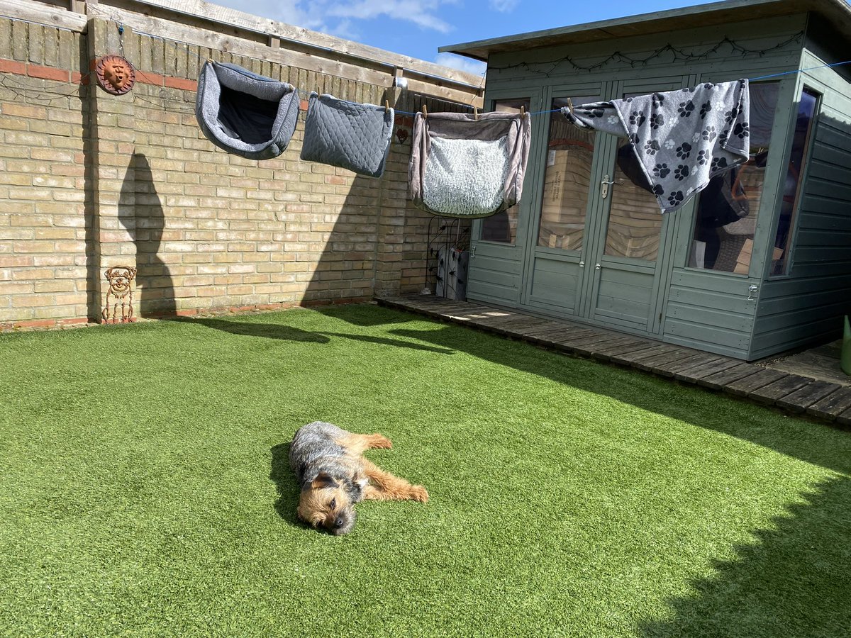 MrSebBT's tweet photo. Trauma #btdown β¦. Beds been washed π±π±π±π±. #btposse https://t.co/Pw5rMuIC1R