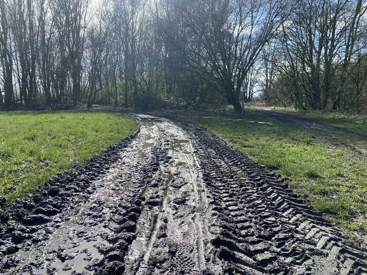 colwickparkrun's tweet photo. All change! #pathwatch https://t.co/dx9zC43tau