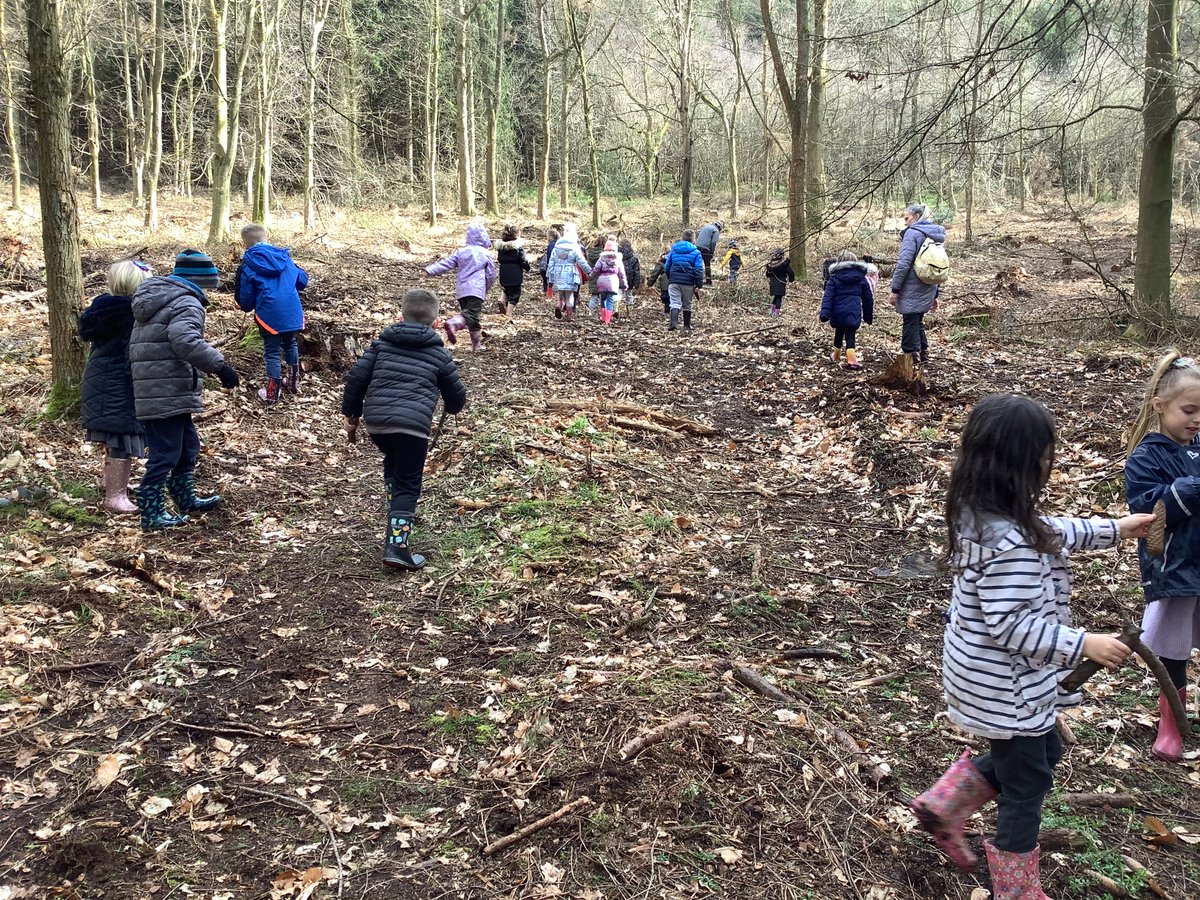 BraeburnPrimary's tweet photo. We had a lovely time walking, climbing and exploring in Raincliffe Woods. We found different evergreen and deciduous leaves that we've been learning about in science. We loved being high up in the mini bus! #BraeburnKS1 #BraeburnEnrichment #BraeburnScience @eboractrust https://t.co/U7m2ZwI5SD