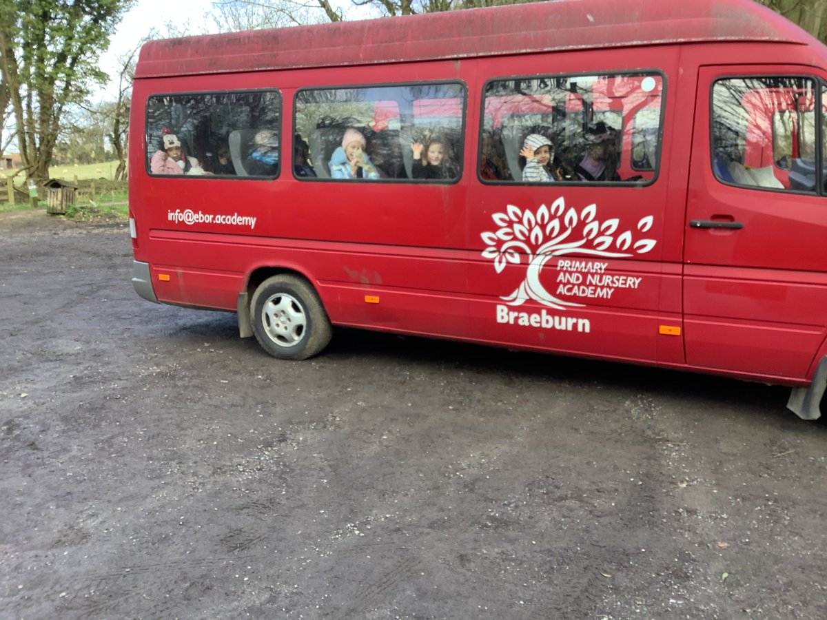 BraeburnPrimary's tweet photo. We had a lovely time walking, climbing and exploring in Raincliffe Woods. We found different evergreen and deciduous leaves that we've been learning about in science. We loved being high up in the mini bus! #BraeburnKS1 #BraeburnEnrichment #BraeburnScience @eboractrust https://t.co/U7m2ZwI5SD