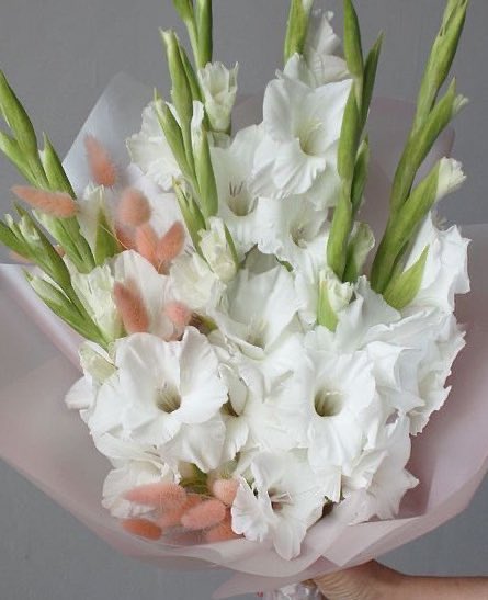 itmydefinition's tweet photo. สิงหาคมคือแกลดิโอลัส (น.)
หมายถึง ดอกไม้ของความเป็นตัวเอง แอบดื้อเงียบอยู่นะ ดูเป็นคนที่พึ่งพาได้ มีแต่คนไว้ใจ มีแพสชั่นเสมอในสิ่งที่ชอบ แต่ถ้าไม่ชอบก็ไม่เอาเลย คุณรักตัวเองและอยากเห็นตัวเองเก่งขึ้นเสมอ ‘พยายามเข้านะ’ https://t.co/Fr0kxGmuYi