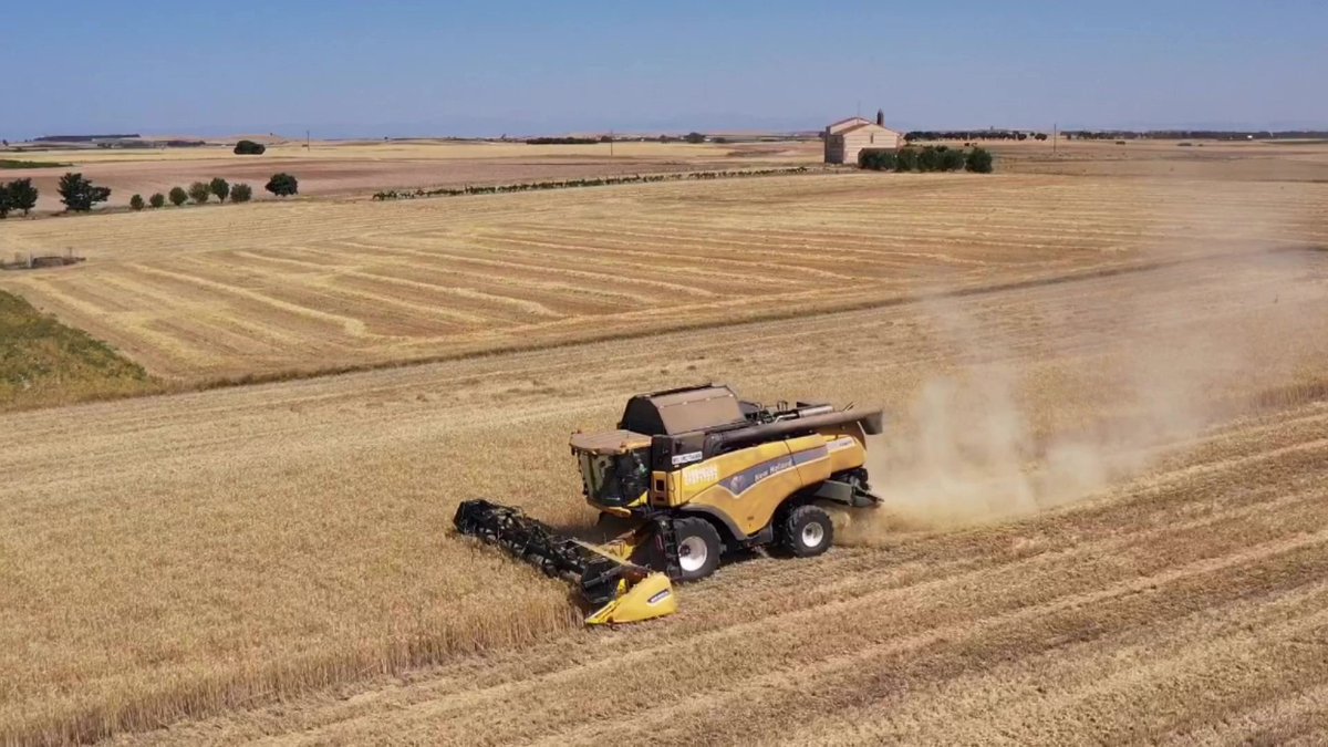 Gominolete's tweet photo. ¡Mira este increíble vídeo que hice con mi equipo DJI! https://t.co/tzpae24dG5 https://t.co/4cbMsPb1iL