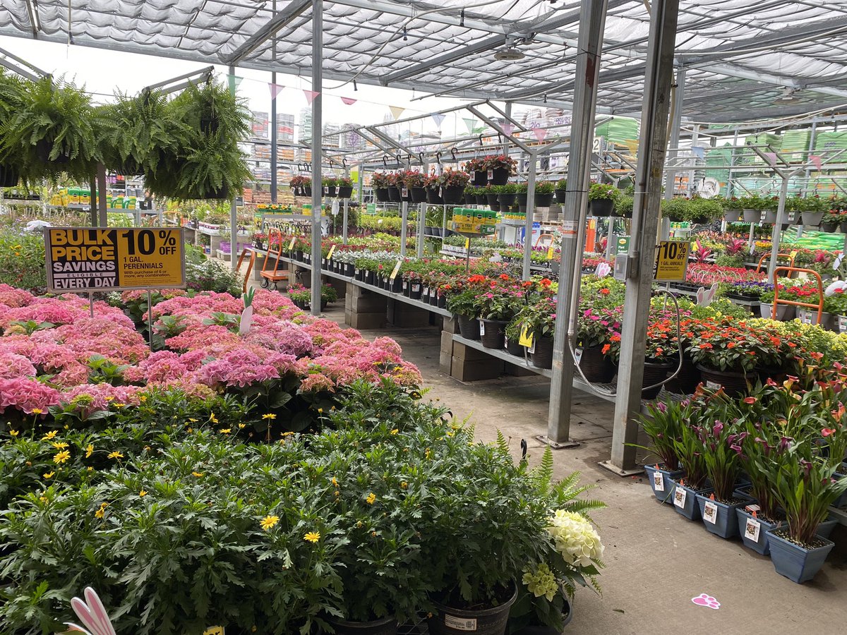 Sally Maurice tweet media