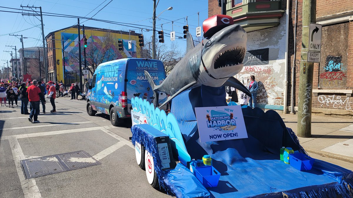 NewportAquarium's tweet photo. Happy #OpeningDay! Catch Sparky Shark swimming through the streets of Cincy in the @FindlayMarket #OpeningDayParade today. Wishing the Reds a SHARKCESSFUL season! https://t.co/y14ALahqNW