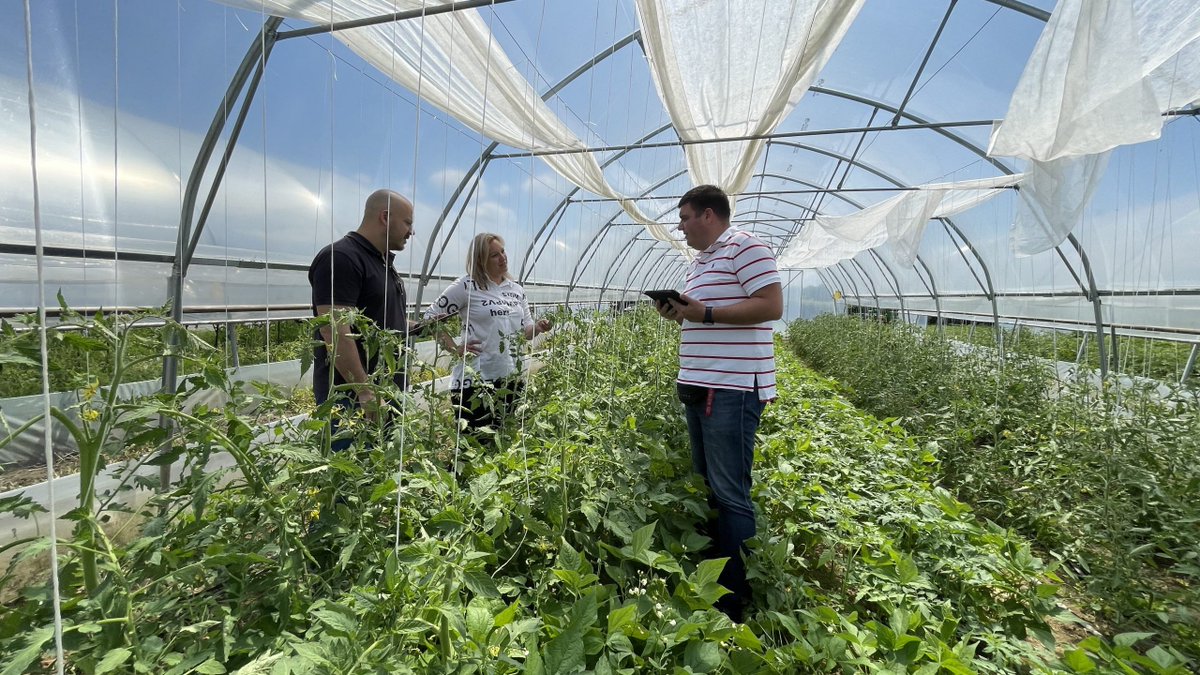 agrodox's tweet photo. An efficient and sustainable agricultural sector with Agrodox®

Read more: https://t.co/iqGE5IlReh https://t.co/3JfDDeqnQD