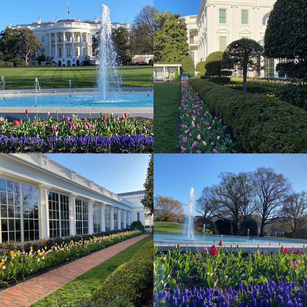 EWTN News Nightly on Twitter "PICTURED The White House invites the