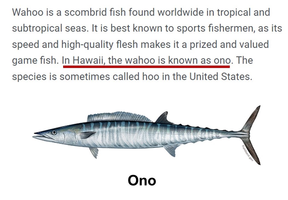A wahoo fish (also called the ono) and text