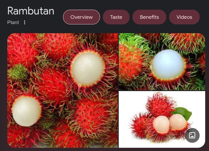 Desertā ēdu <a href="/EsEsmuTuEsmuEs/">Roberts Rambāns</a> mīļāko augli.