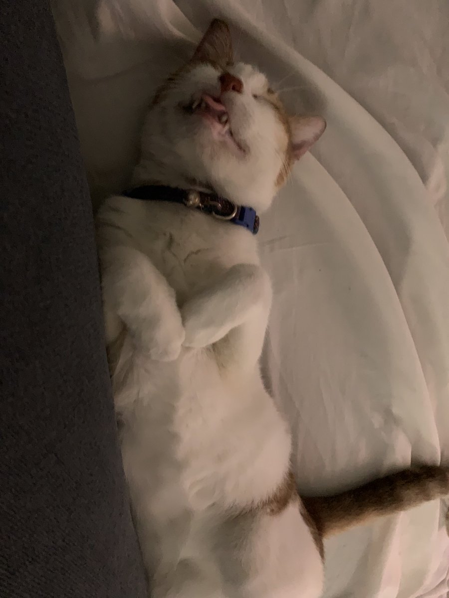 ngyawnic's tweet photo. Goodnight, goodnight
My sweet little one
Tomorrow your eyes
They will light up the sun
But goodnight, goodnight
Sweet dreams for now
Drift off to sleep
On your pillow of clouds
Goodnight, goodnight
My sweet little friend
Tomorrow's adventures
They will soon begin https://t.co/oGDIDL8qyd