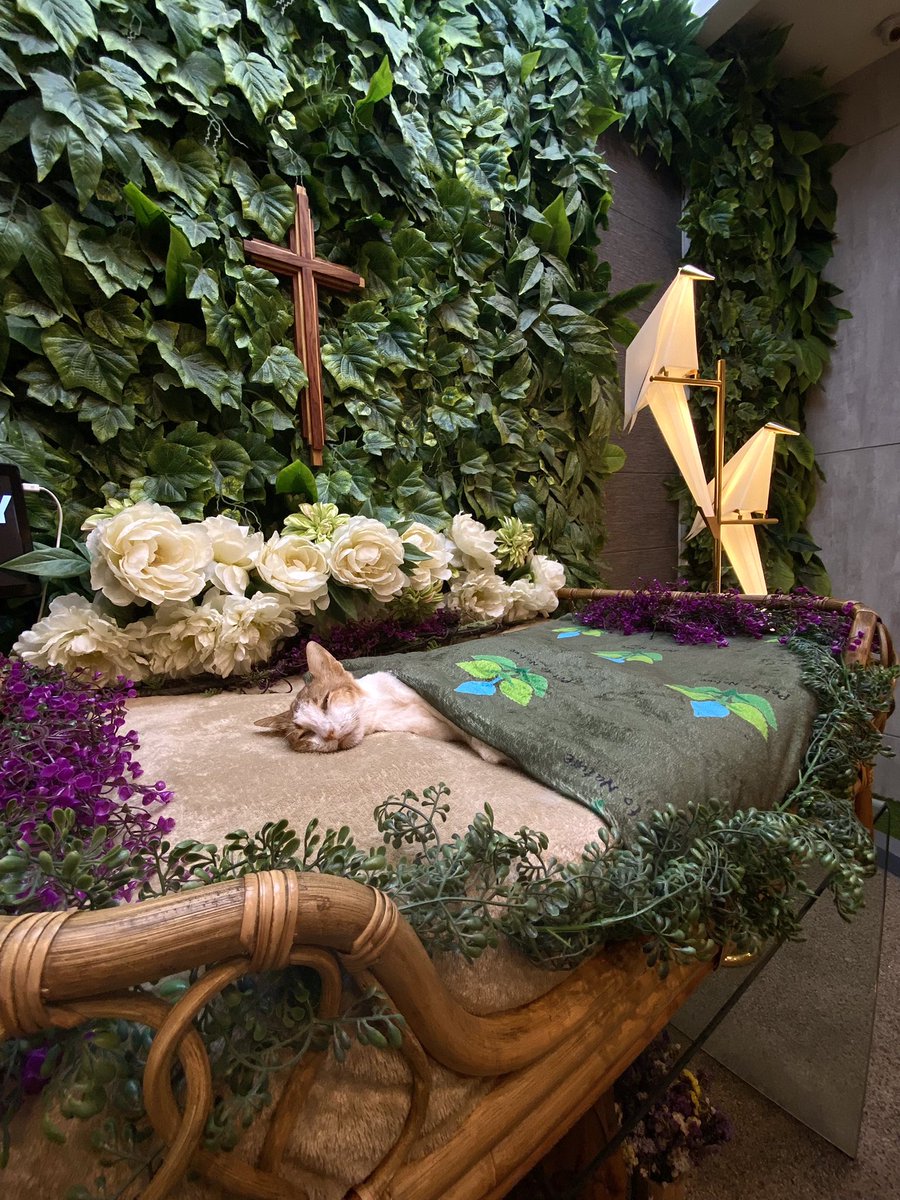 ngyawnic's tweet photo. Goodnight, goodnight
My sweet little one
Tomorrow your eyes
They will light up the sun
But goodnight, goodnight
Sweet dreams for now
Drift off to sleep
On your pillow of clouds
Goodnight, goodnight
My sweet little friend
Tomorrow's adventures
They will soon begin https://t.co/oGDIDL8qyd