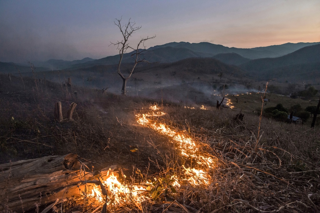 Announcing the participants of the NOOR Visualising Climate Crisis: Advanced Mentoring Programme. noorimages.com/newsroom/2023/…