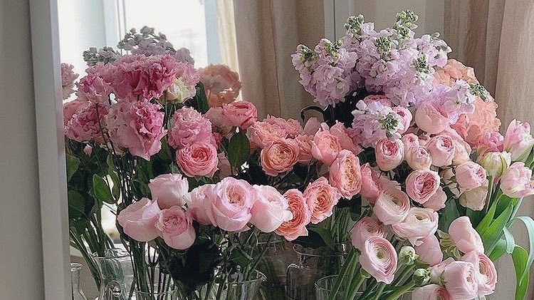 malusokay's tweet photo. Buying beautiful flowers >>> https://t.co/XCSqfXpqG7