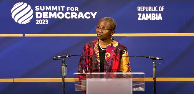 AfEONet's tweet photo. "As we all know democracy is like the logs on fire needed to cook the pot. The pot cannot be cooked with one log, just like democracy cannot thrive with one stakeholder trying to do all the work. The fire requires more logs, as such is the case with with democracy".@MondeMuyangwa https://t.co/5RdqxwBznS
