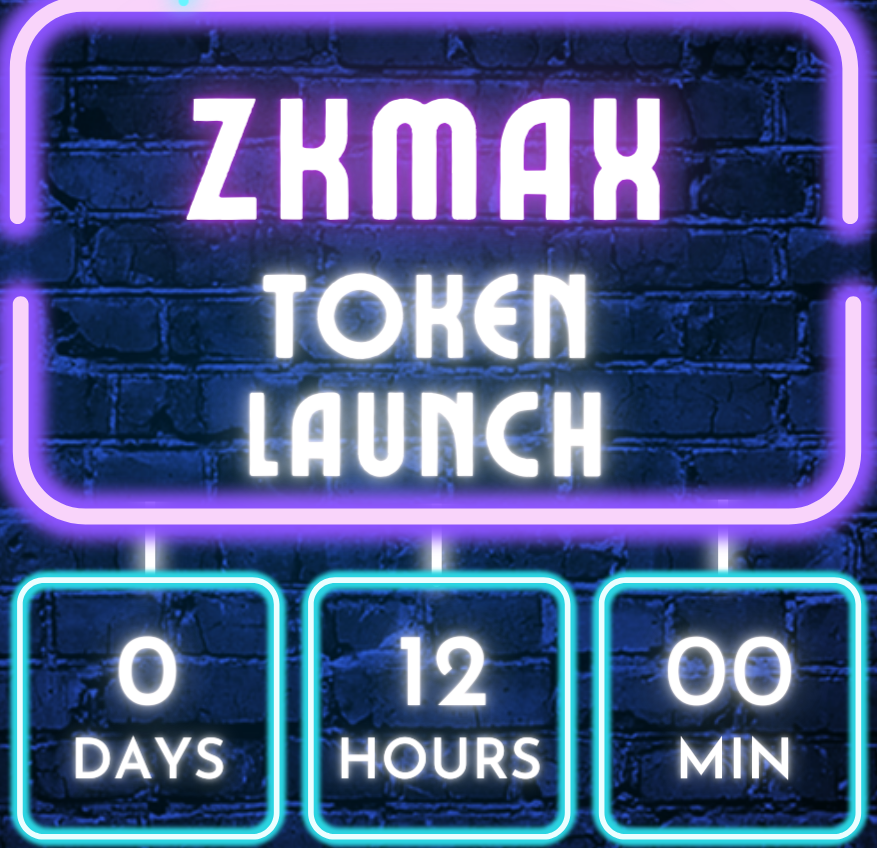 ZkMAX | Building on zkSync | DAO Launchpad tweet media