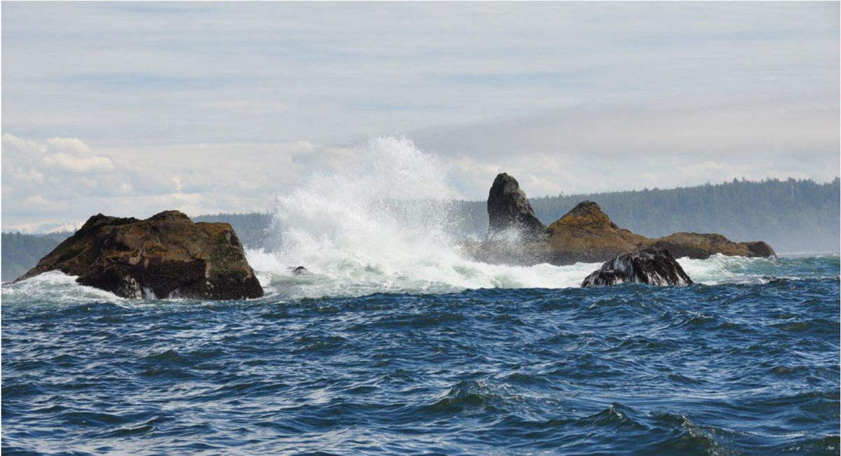 OA_NOAA's tweet photo. 📢The #NOAAScienceReport dropped this week! Featured are vital #OceanAcidifciation data collected in the #GulfOfMexico during COVID and the regional vulnerability assessment of the Olympic Coast.
https://t.co/FxmcQaTk31 https://t.co/0FnfVgTyD1