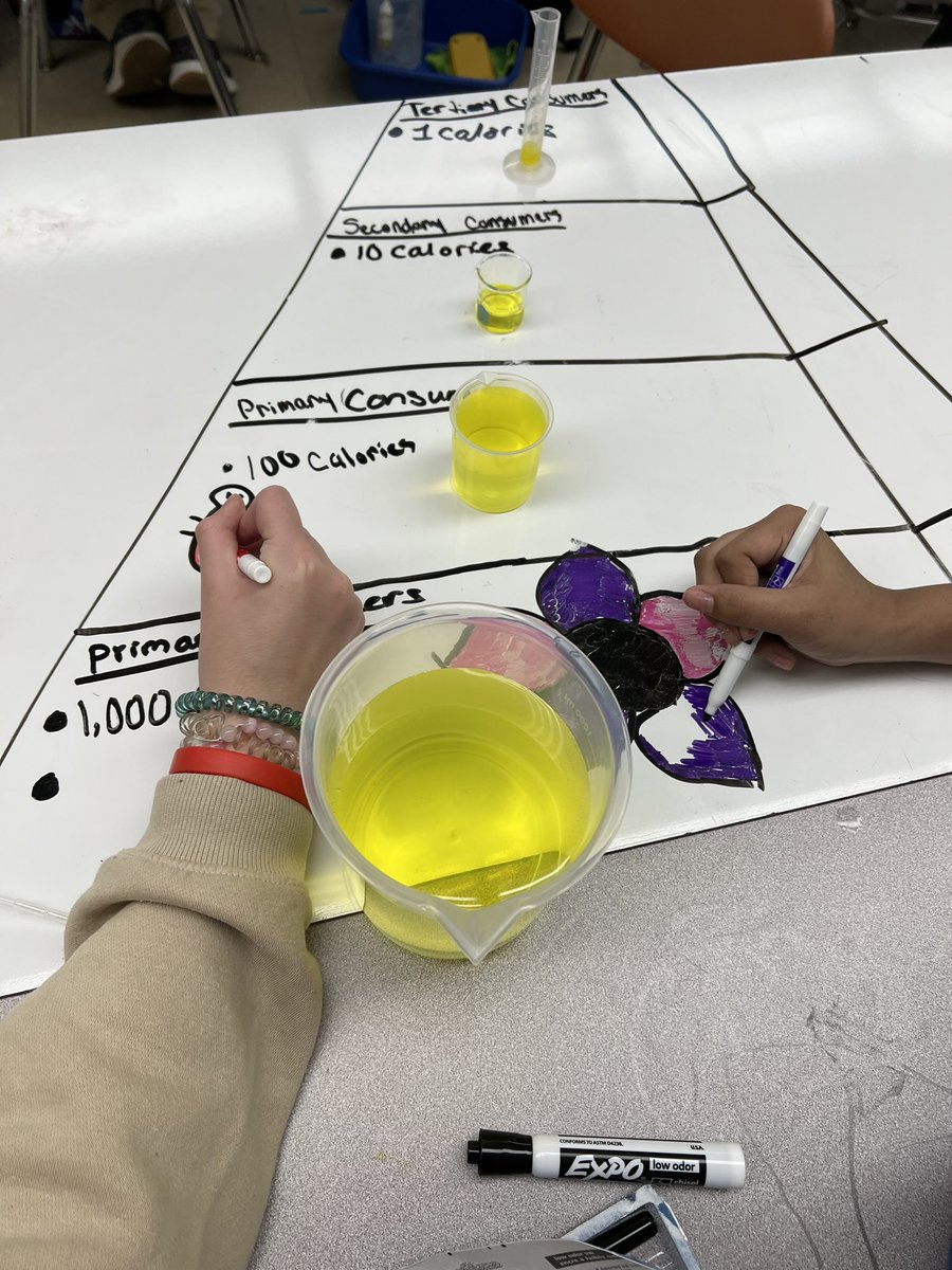 ghs_whitecar's tweet photo. Today we modeled energy transfer in ecosystems (the 10% rule). #collsedu https://t.co/bbpAE2QiId