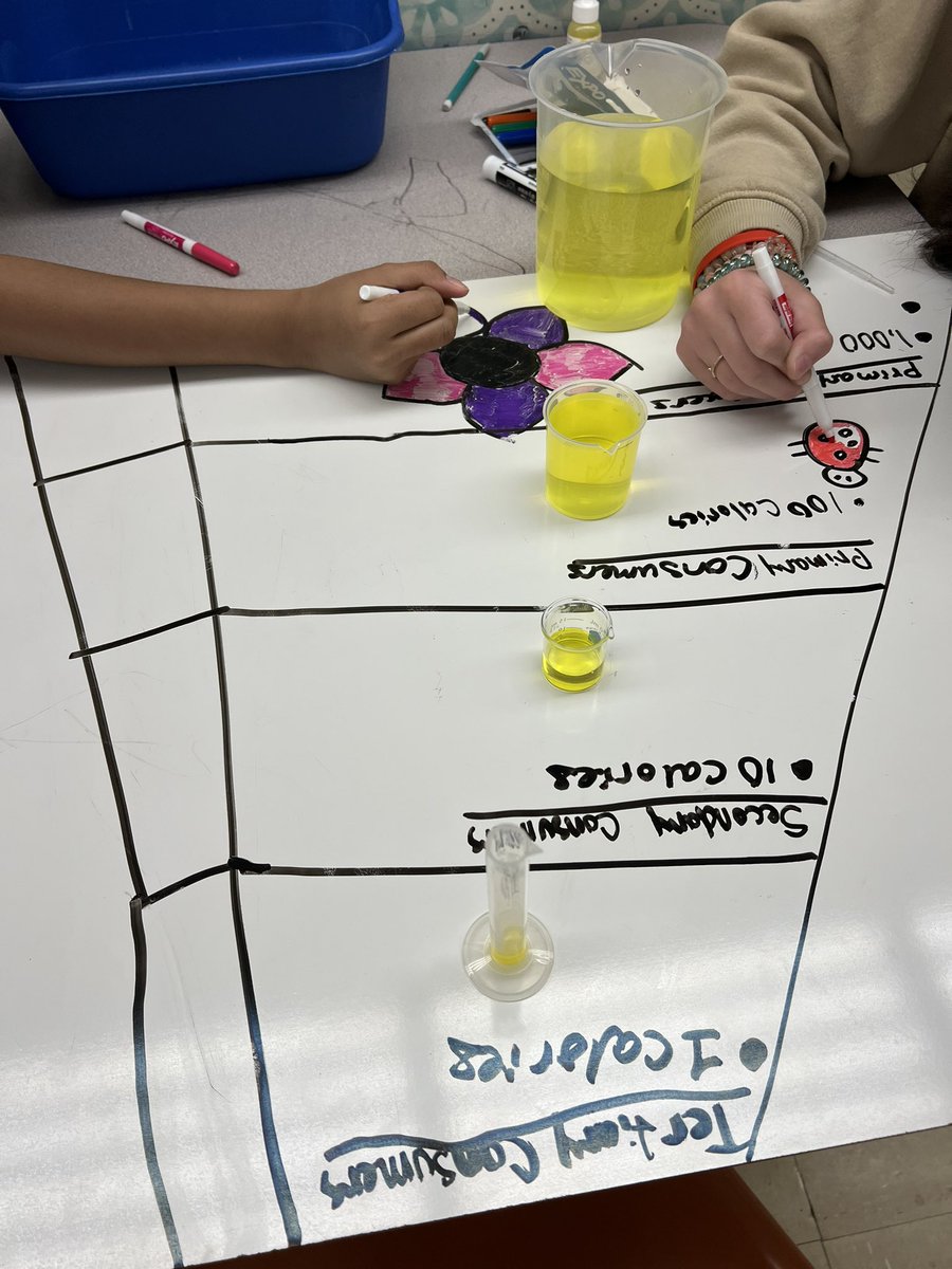 ghs_whitecar's tweet photo. Today we modeled energy transfer in ecosystems (the 10% rule). #collsedu https://t.co/bbpAE2QiId