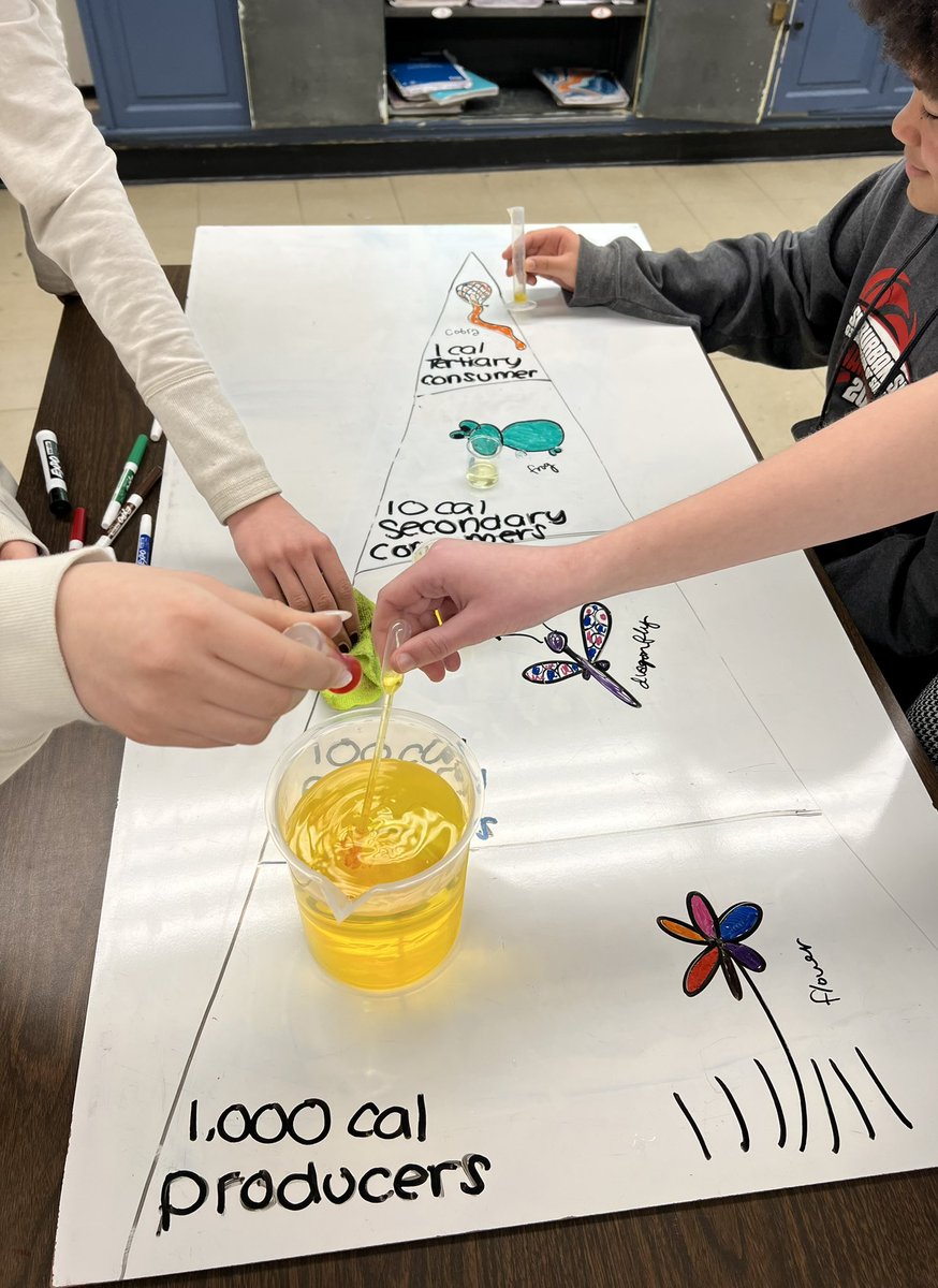ghs_whitecar's tweet photo. Today we modeled energy transfer in ecosystems (the 10% rule). #collsedu https://t.co/bbpAE2QiId