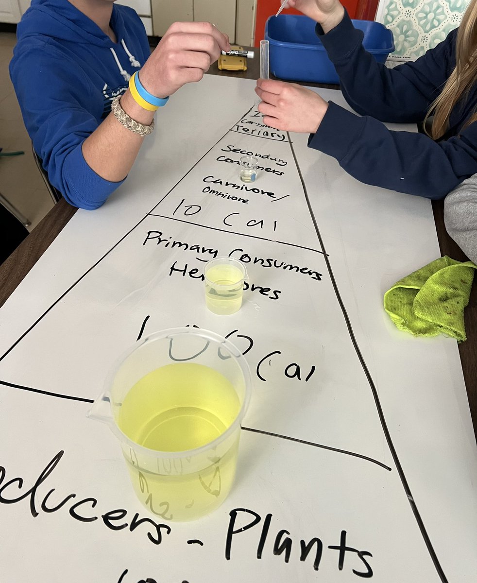 ghs_whitecar's tweet photo. Today we modeled energy transfer in ecosystems (the 10% rule). #collsedu https://t.co/bbpAE2QiId