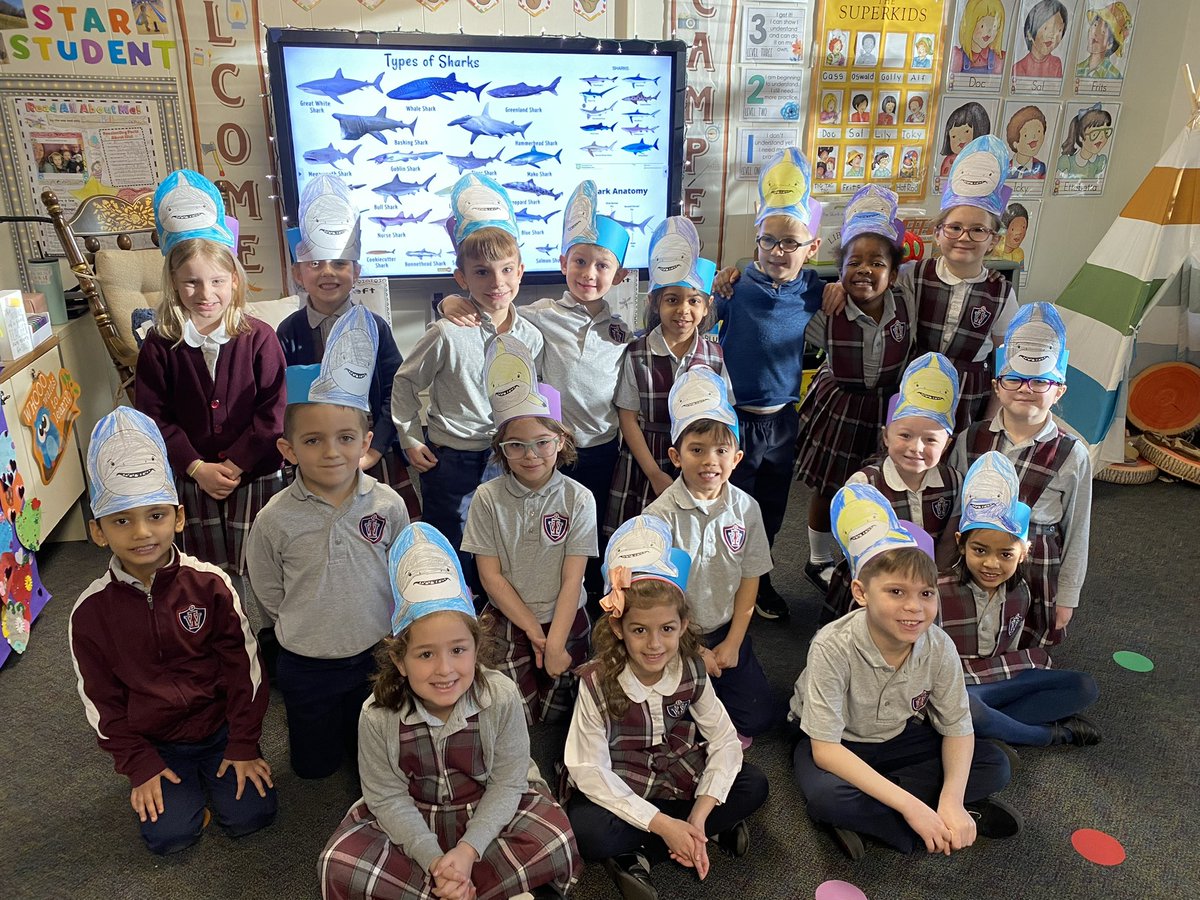 IWAonline's tweet photo. SHARKTASTIC learning with @sharkladyuk for @Sharks4Kids as our kindergarten students explore these amazing creatures and inquire all sorts of things! #research is #stem learning! https://t.co/xGpcZPEy8K