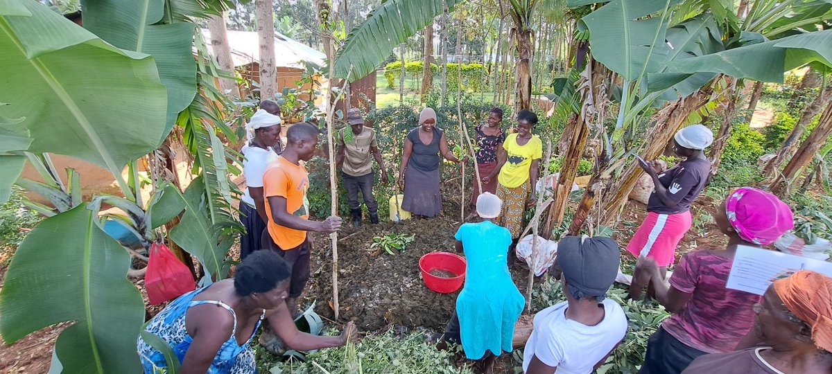 Boomitra tweet media